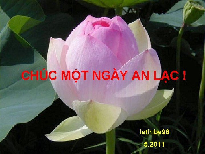 CHÚC MỘT NGÀY AN LẠC ! lethibe 98 5. 2011 