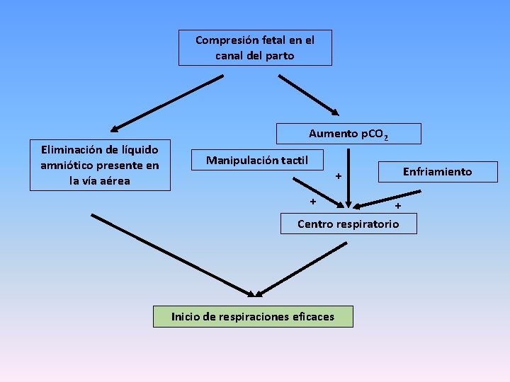 Compresión fetal en el canal del parto Eliminación de líquido amniótico presente en la