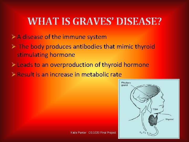 WHAT IS GRAVES’ DISEASE? Ø A disease of the immune system Ø The body