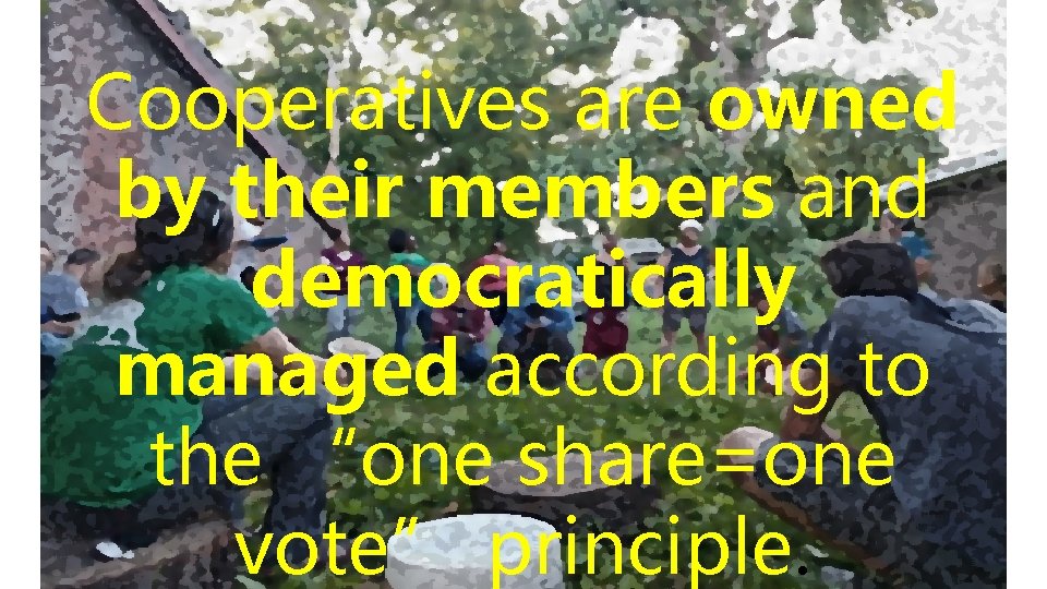 Cooperatives are owned by their members and democratically managed according to the “one share=one