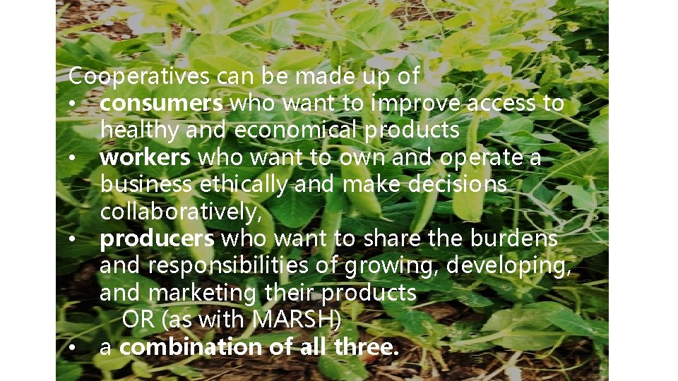 Cooperatives can be made up of • consumers who want to improve access to