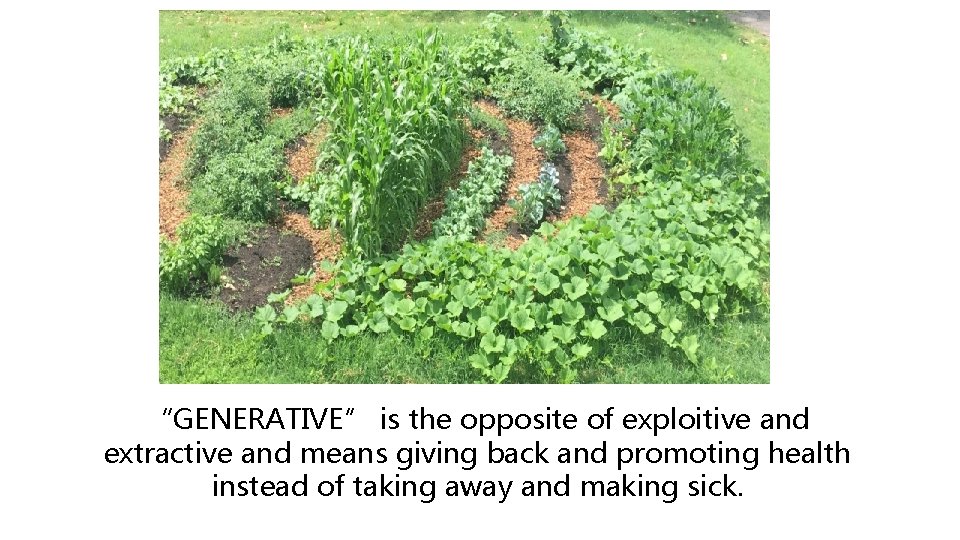 “GENERATIVE” is the opposite of exploitive and extractive and means giving back and promoting “GENERATIVE” is the opposite of exploitive and extractive and means giving back and promoting