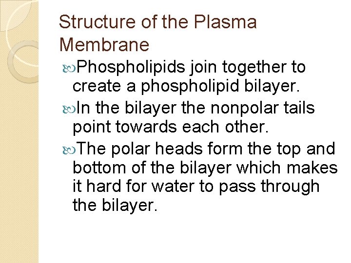Structure of the Plasma Membrane Phospholipids join together to create a phospholipid bilayer. In