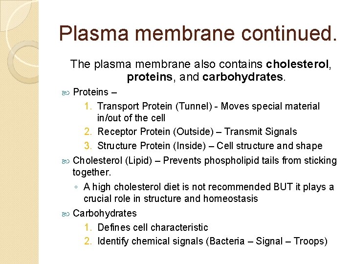 Plasma membrane continued. The plasma membrane also contains cholesterol, proteins, and carbohydrates. Proteins –