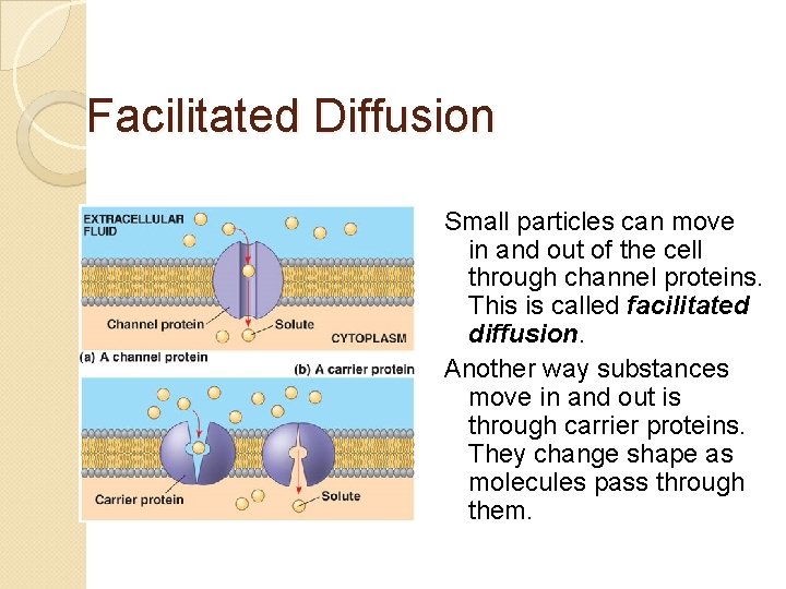 Facilitated Diffusion Small particles can move in and out of the cell through channel