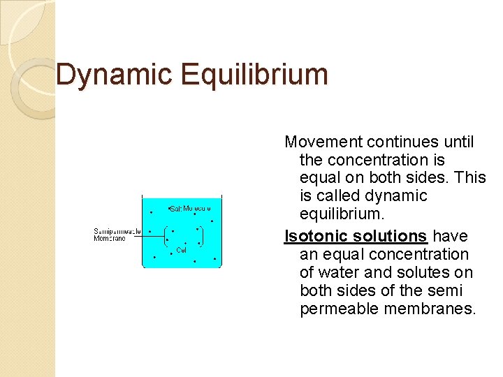 Dynamic Equilibrium Movement continues until the concentration is equal on both sides. This is