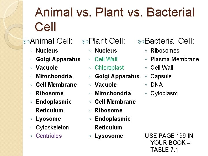 Animal vs. Plant vs. Bacterial Cell Animal ◦ ◦ ◦ ◦ Cell: Nucleus Golgi