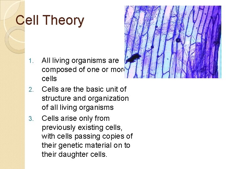 Cell Theory 1. 2. 3. All living organisms are composed of one or more