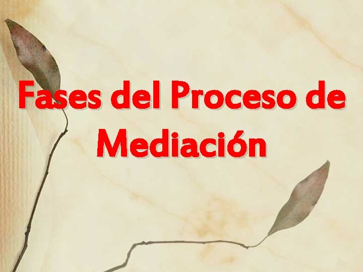 Fases del Proceso de Mediación 