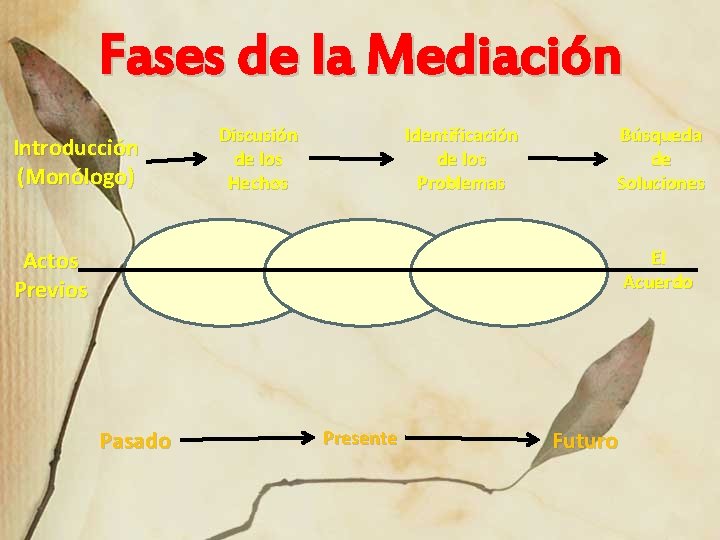 Fases de la Mediación Introducción (Monólogo) Discusión de los Hechos Identificación de los Problemas