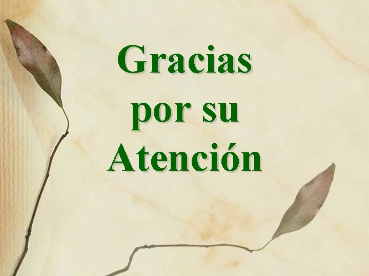 Gracias por su Atención 