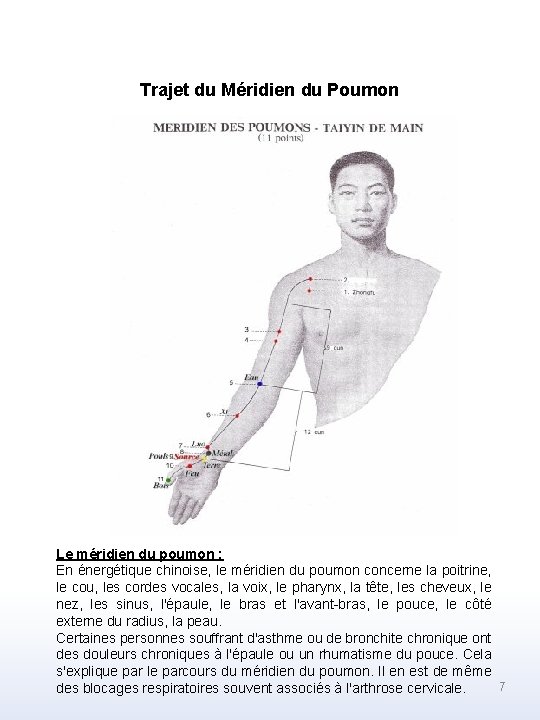 Trajet du Méridien du Poumon Le méridien du poumon : En énergétique chinoise, le