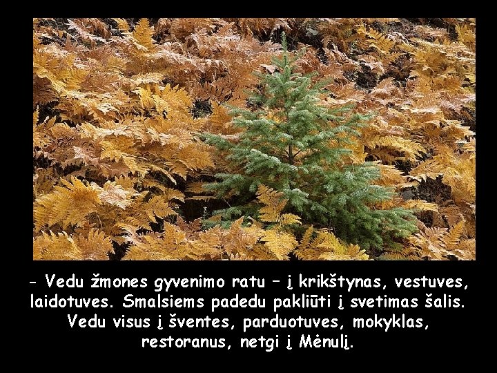 - Vedu žmones gyvenimo ratu – į krikštynas, vestuves, laidotuves. Smalsiems padedu pakliūti į