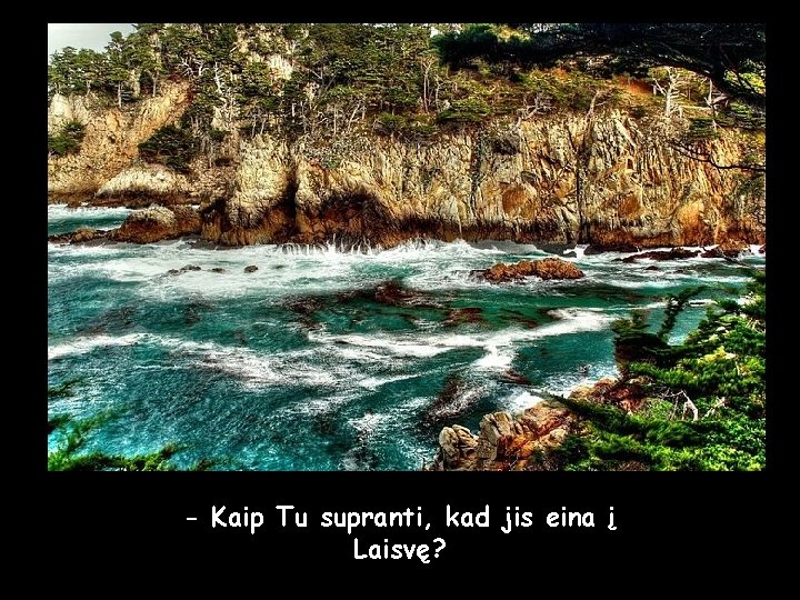- Kaip Tu supranti, kad jis eina į Laisvę? 