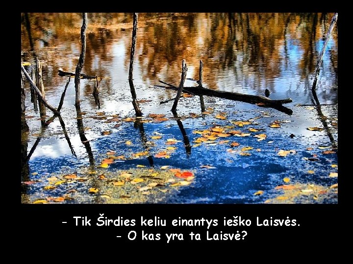 - Tik Širdies keliu einantys ieško Laisvės. - O kas yra ta Laisvė? 