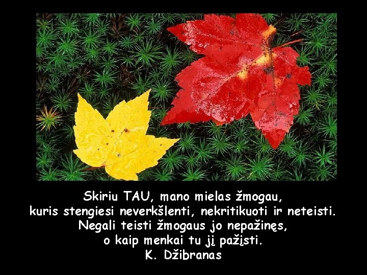 Skiriu TAU, mano mielas žmogau, kuris stengiesi neverkšlenti, nekritikuoti ir neteisti. Negali teisti žmogaus