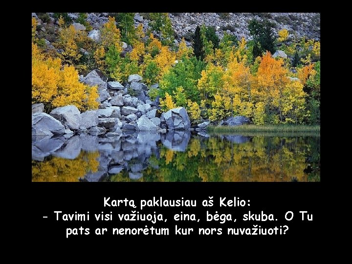 Kartą paklausiau aš Kelio: - Tavimi visi važiuoja, eina, bėga, skuba. O Tu pats