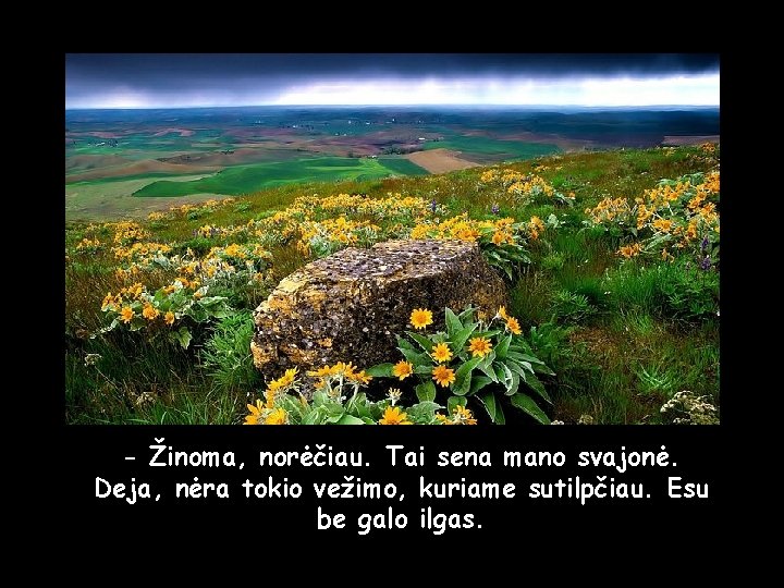 - Žinoma, norėčiau. Tai sena mano svajonė. Deja, nėra tokio vežimo, kuriame sutilpčiau. Esu