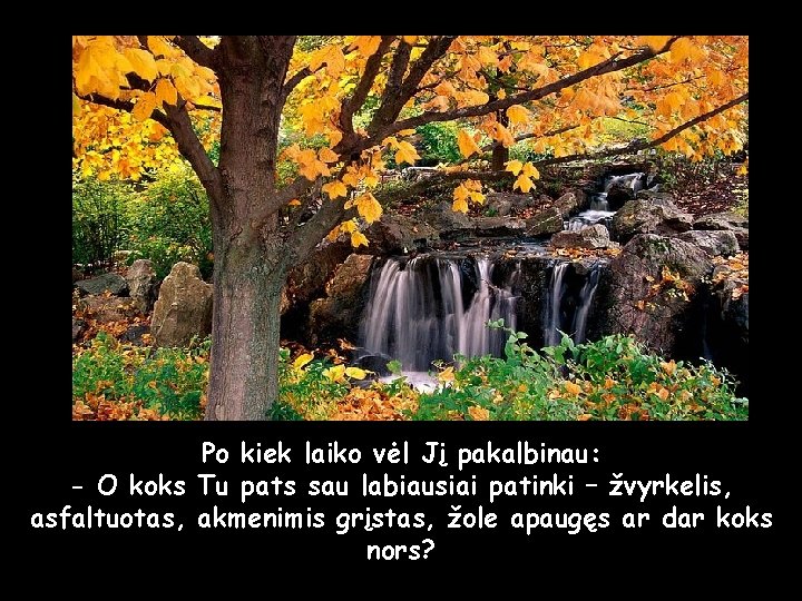 Po kiek laiko vėl Jį pakalbinau: - O koks Tu pats sau labiausiai patinki