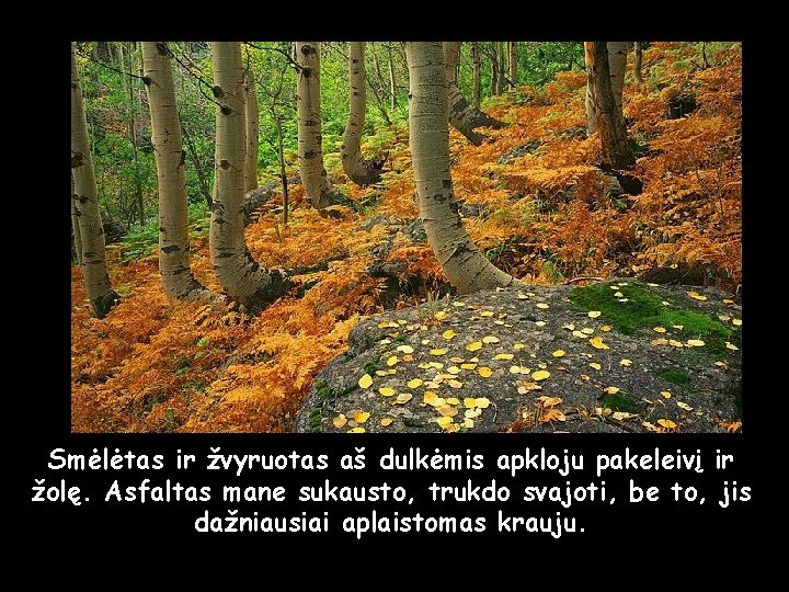 Smėlėtas ir žvyruotas aš dulkėmis apkloju pakeleivį ir žolę. Asfaltas mane sukausto, trukdo svajoti,
