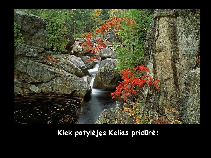 Kiek patylėjęs Kelias pridūrė: 