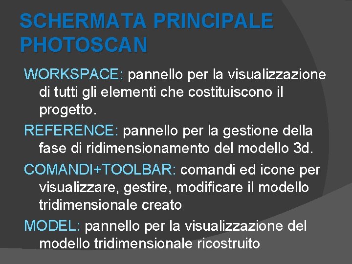 SCHERMATA PRINCIPALE PHOTOSCAN WORKSPACE: pannello per la visualizzazione di tutti gli elementi che costituiscono