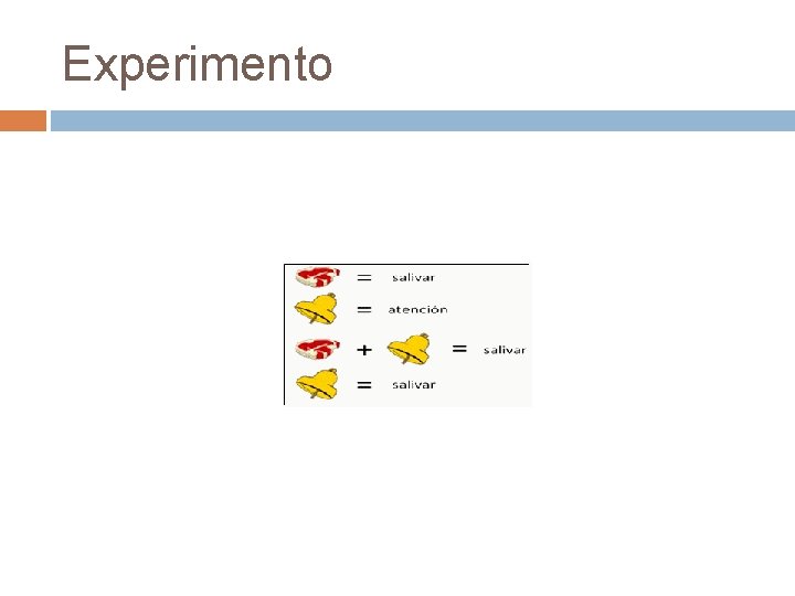 Experimento Experimento