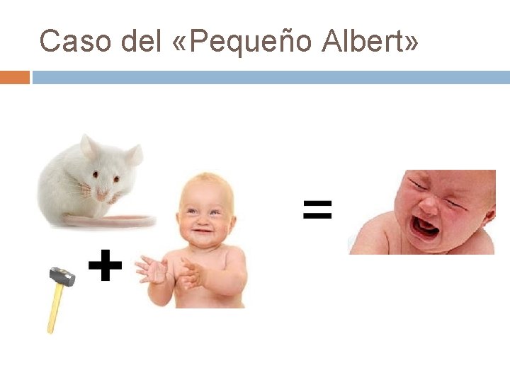Caso del «Pequeño Albert» Caso del «Pequeño Albert»