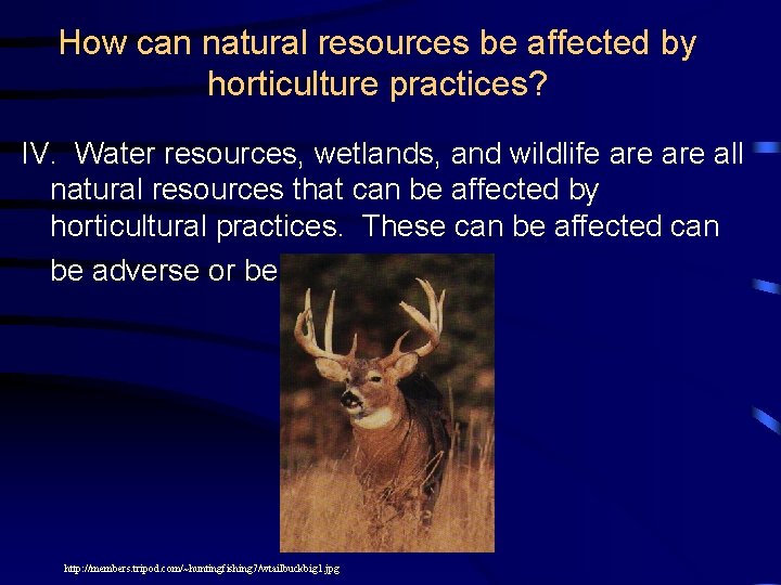 How can natural resources be affected by horticulture practices? IV. Water resources, wetlands, and