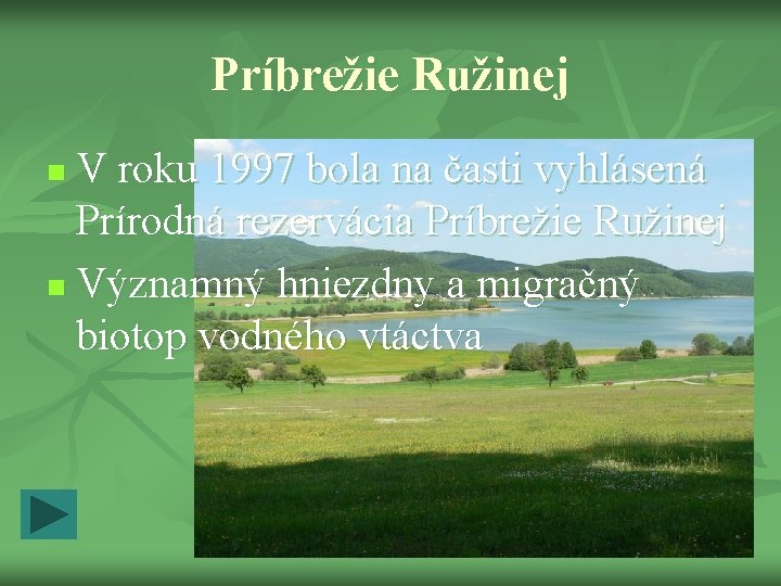 Príbrežie Ružinej V roku 1997 bola na časti vyhlásená Prírodná rezervácia Príbrežie Ružinej n