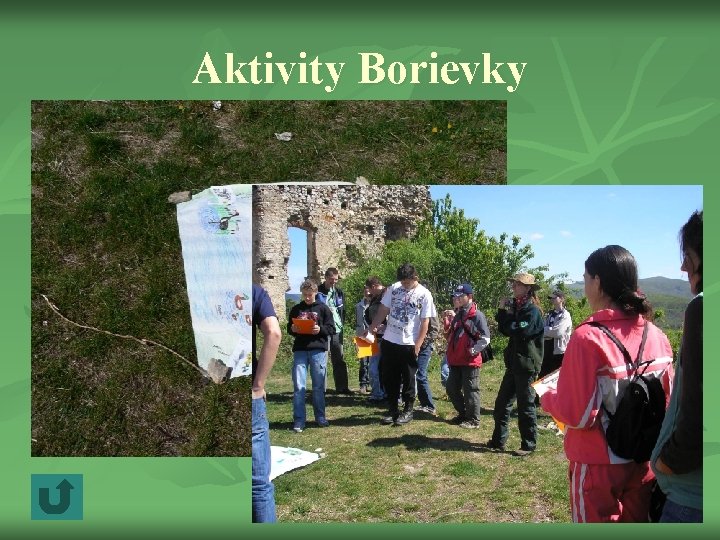 Aktivity Borievky 