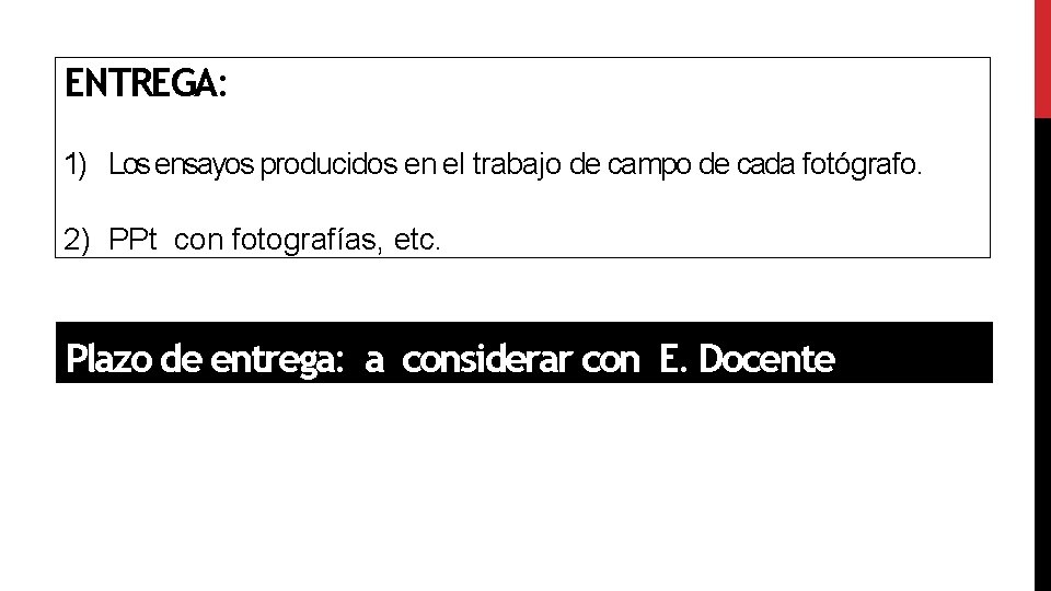 ENTREGA: 1) Los ensayos producidos en el trabajo de campo de cada fotógrafo. 2)