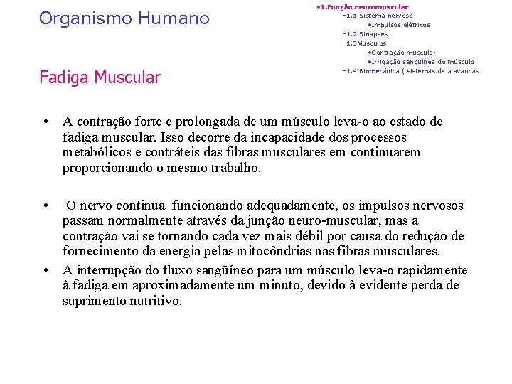 Organismo Humano Fadiga Muscular • 1. Função neuromuscular – 1. 1 Sistema nervoso •