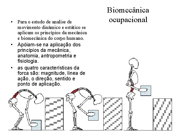  • Para o estudo de analise de movimento dinâmico e estático se aplicam