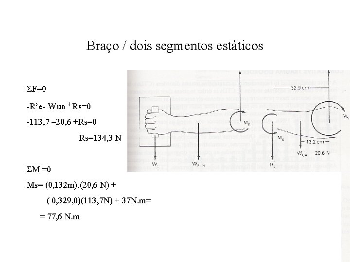 Braço / dois segmentos estáticos ΣF=0 -R’e- Wua + Rs=0 -113, 7 – 20,