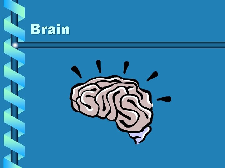 Brain Brain