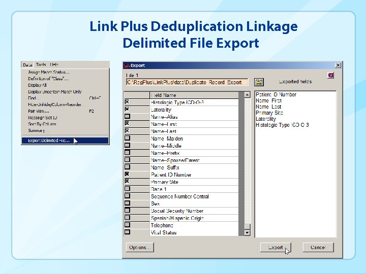 Link Plus Deduplication Linkage Delimited File Export 