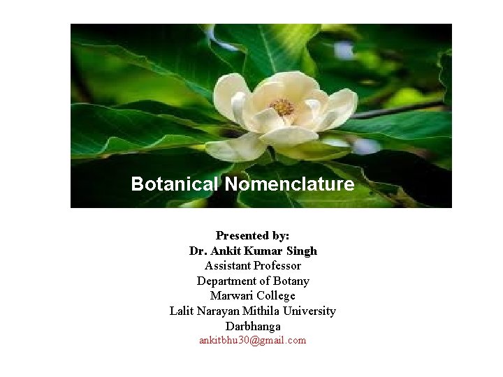 Botanical Nomenclature Presented by: Dr. Ankit Kumar Singh Assistant Professor Department of Botany Marwari