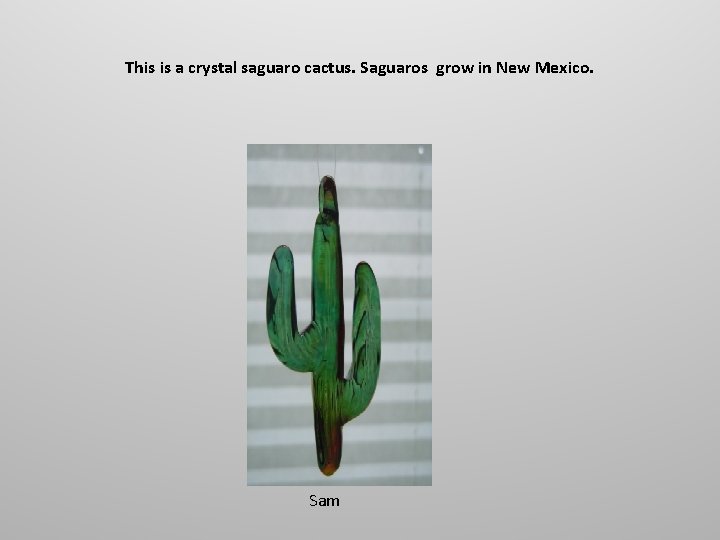 This is a crystal saguaro cactus. Saguaros grow in New Mexico. Sam 