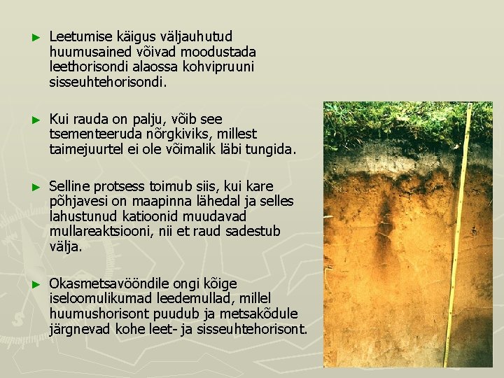 ► Leetumise käigus väljauhutud huumusained võivad moodustada leethorisondi alaossa kohvipruuni sisseuhtehorisondi. ► Kui rauda