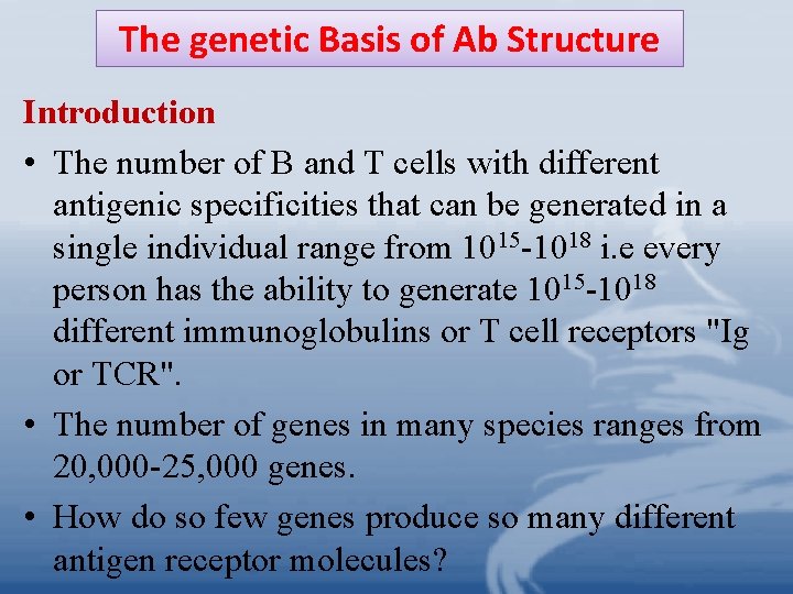 The genetic Basis of Ab Structure Introduction • The number of B and T