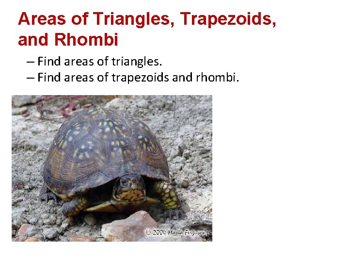Areas of Triangles, Trapezoids, and Rhombi – Find areas of triangles. – Find areas