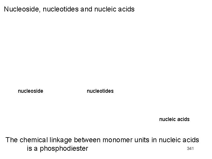 Nucleoside, nucleotides and nucleic acids nucleoside nucleotides nucleic acids The chemical linkage between monomer