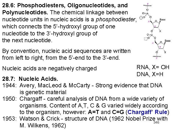 28. 6: Phosphodiesters, Oligonucleotides, and Polynucleotides. The chemical linkage between nucleotide units in nucleic