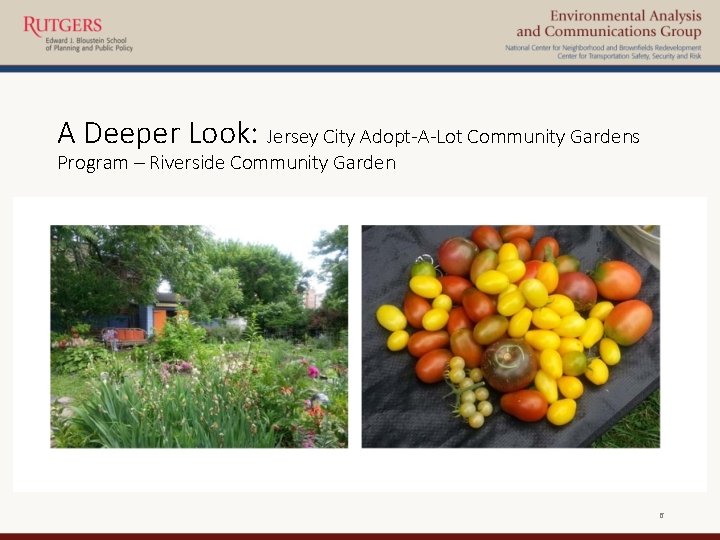 A Deeper Look: Jersey City Adopt-A-Lot Community Gardens Program – Riverside Community Garden 6