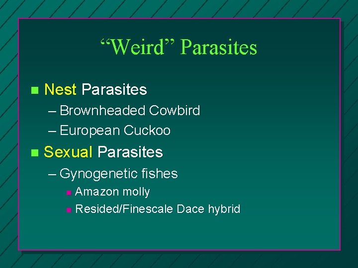 “Weird” Parasites n Nest Parasites – Brownheaded Cowbird – European Cuckoo n Sexual Parasites