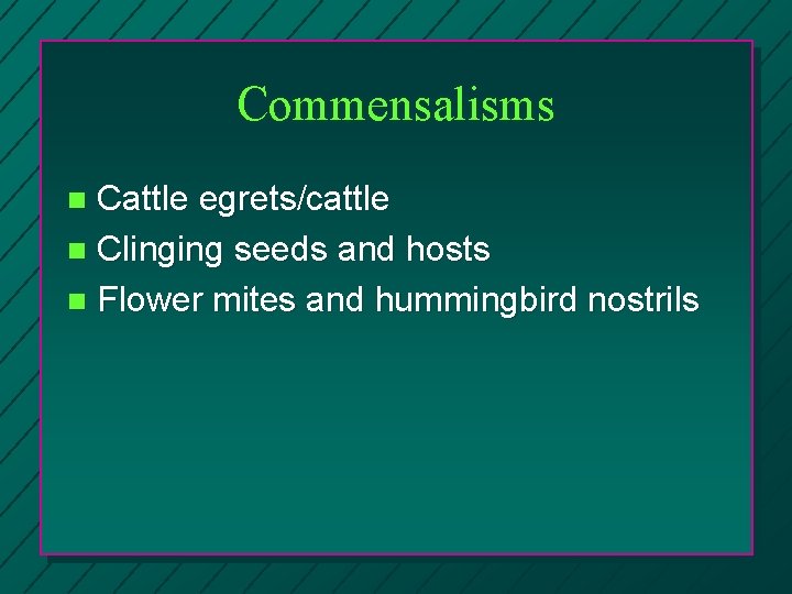 Commensalisms Cattle egrets/cattle n Clinging seeds and hosts n Flower mites and hummingbird nostrils