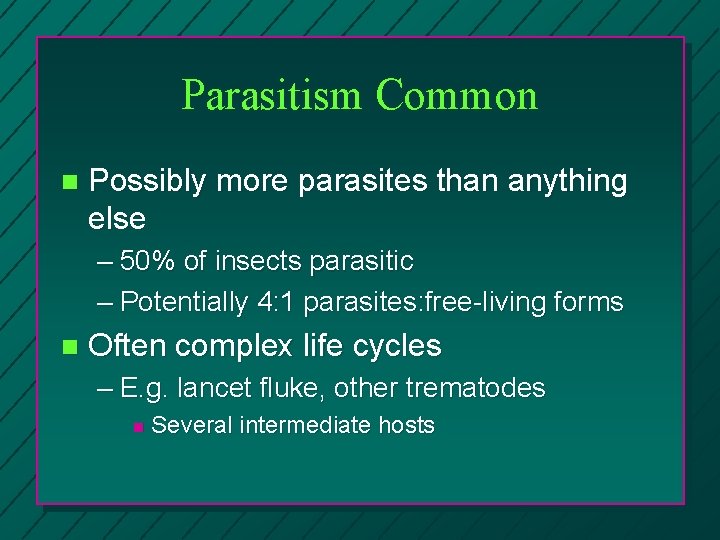 Parasitism Common n Possibly more parasites than anything else – 50% of insects parasitic