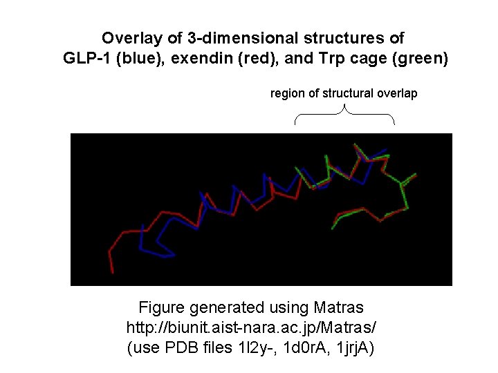 Overlay of 3 -dimensional structures of GLP-1 (blue), exendin (red), and Trp cage (green)