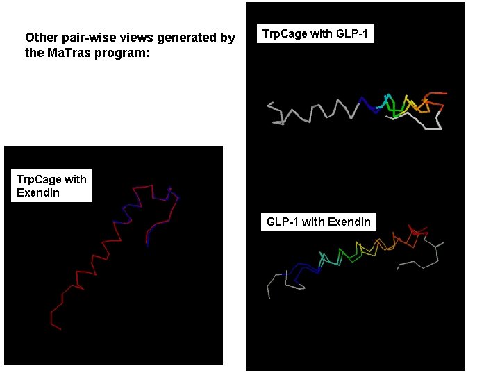 Other pair-wise views generated by the Ma. Tras program: Trp. Cage with GLP-1 Trp. Other pair-wise views generated by the Ma. Tras program: Trp. Cage with GLP-1 Trp.